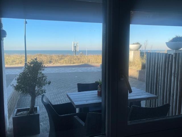 B&B Zeespiegel Zandvoort Kültér fotó