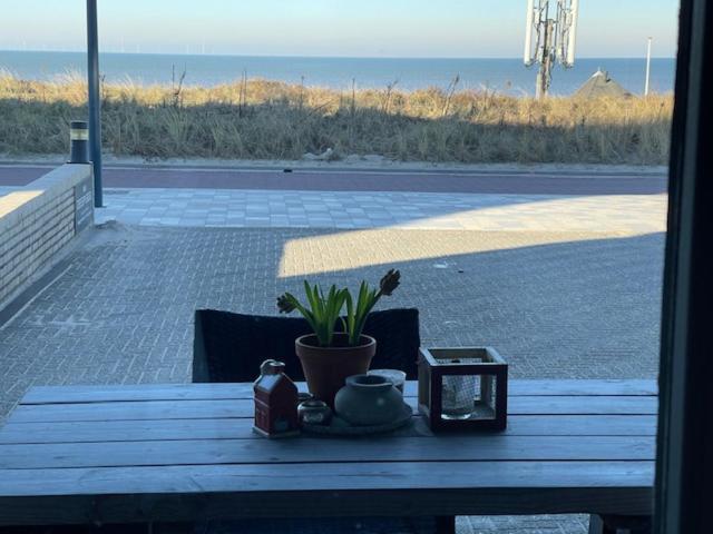 B&B Zeespiegel Zandvoort Kültér fotó