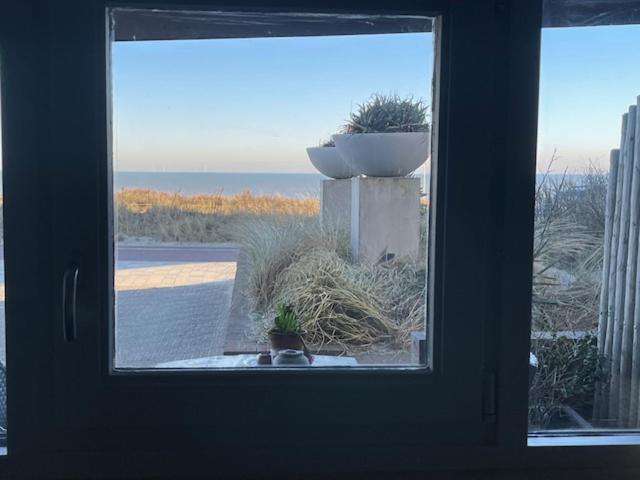 B&B Zeespiegel Zandvoort Kültér fotó