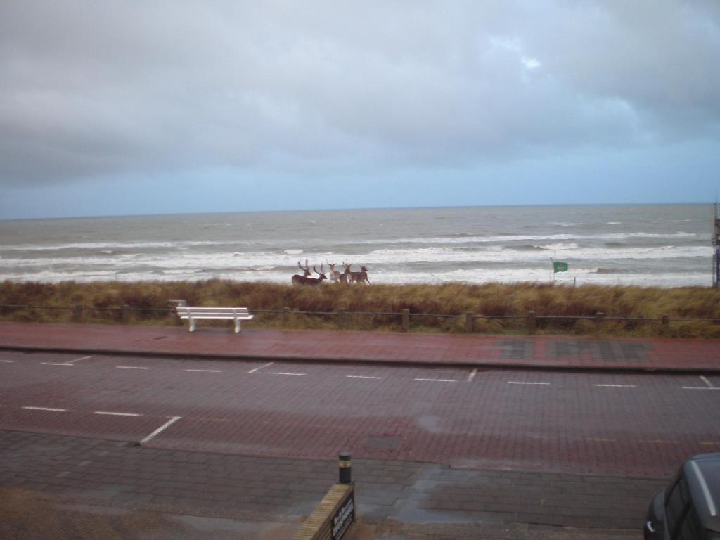 B&B Zeespiegel Zandvoort Szoba fotó